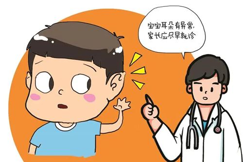张正文做小耳再造费用是多少？手术费用在3-5万元之间