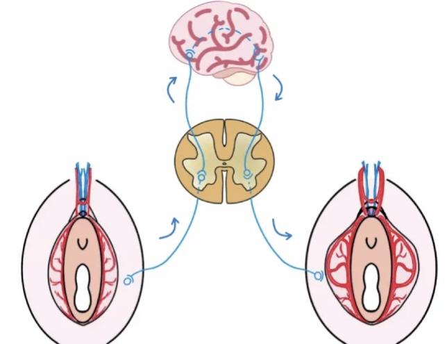 2026年常德双眼皮医院对比：维多利亚3D模拟、艺星动态美学、市医院修复更专业，哪家更